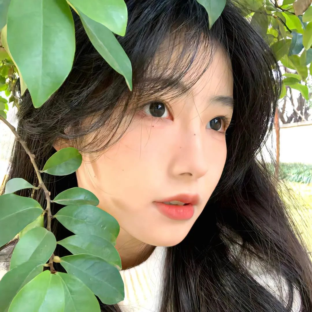 蓝眼睛波利